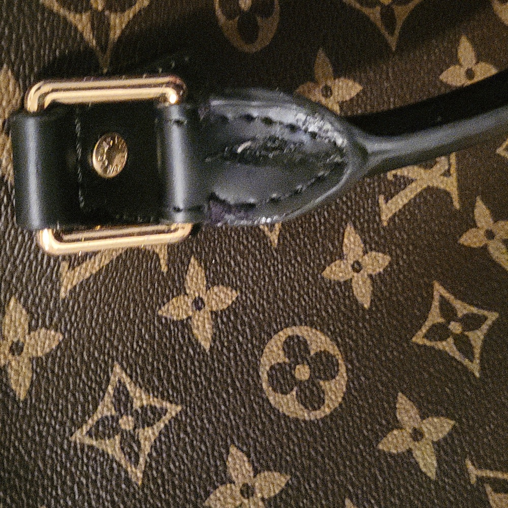 Louis Vuitton Brown Monogram Handbag - Picture 5 of 8